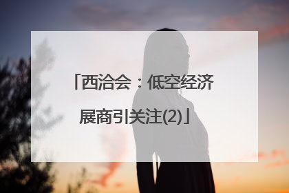 西洽会：低空经济展商引关注(2)